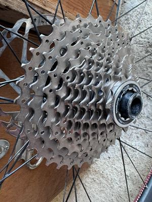 15 Velo2026