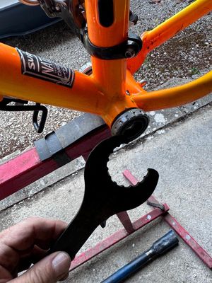 6 Velo2026